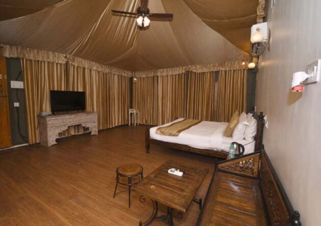 Luxury Tent - Image 5